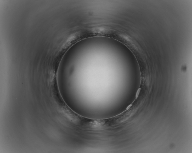 X0000091480660200708161419