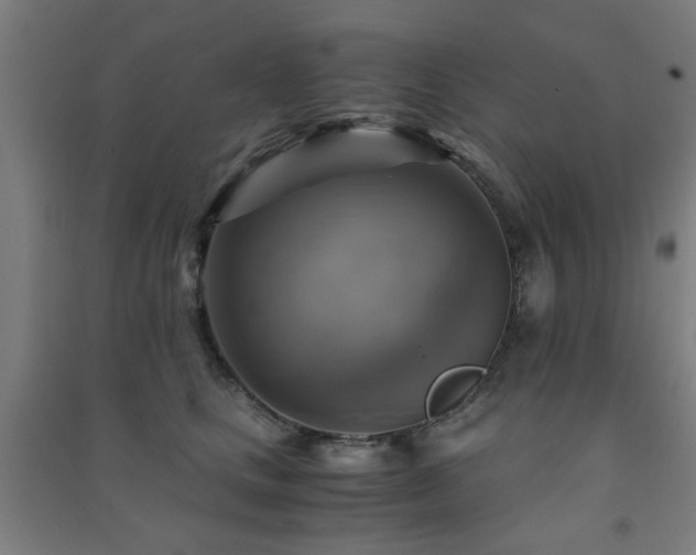 X0000091480661200708161419