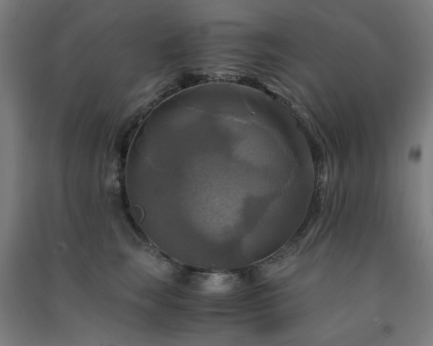 X0000091480663200708161419
