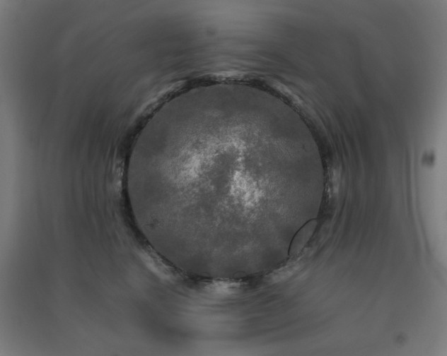 X0000091480664200708161419