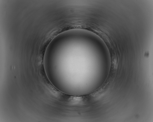 X0000091480665200708161419
