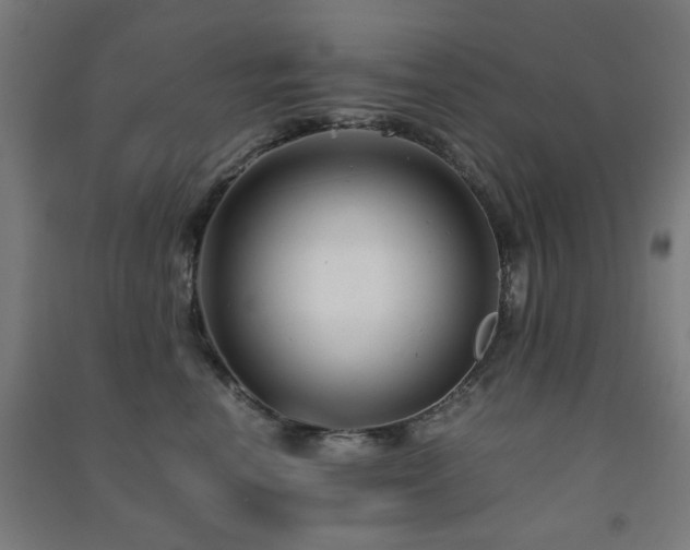 X0000091480666200708161419