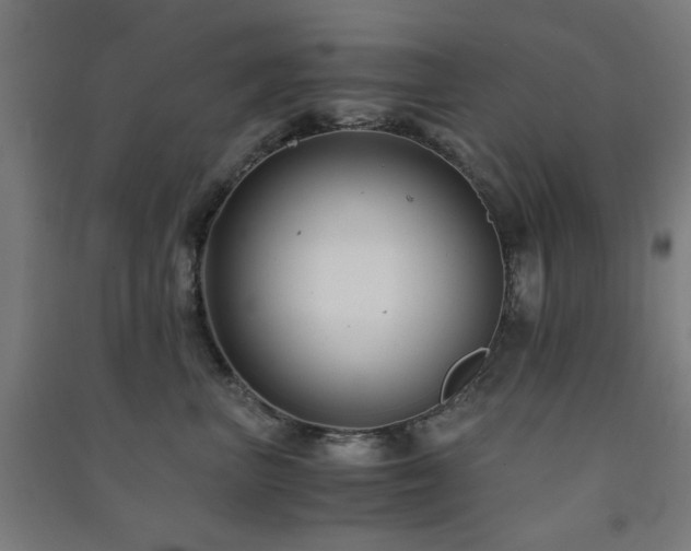 X0000091480667200708161419