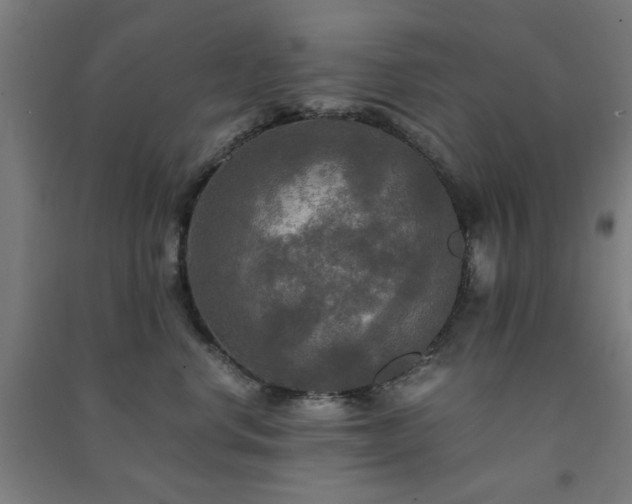 X0000091480668200708161419