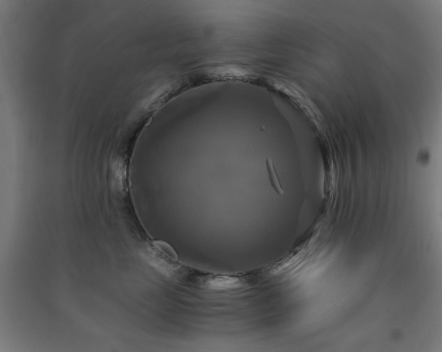 X0000091480669200708161419
