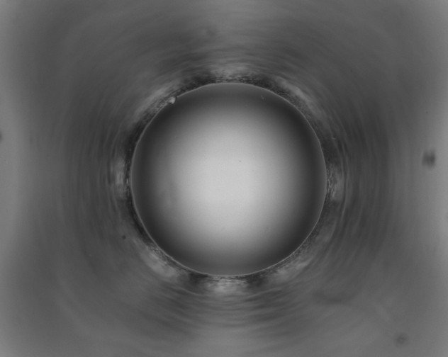 X0000091480670200708161419
