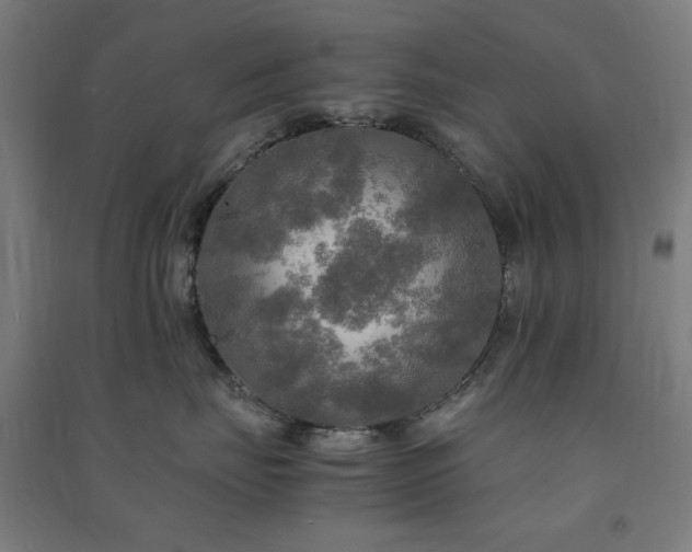 X0000091480671200708161419
