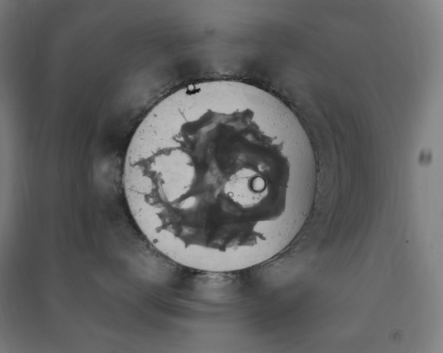 X0000091480672200708161419