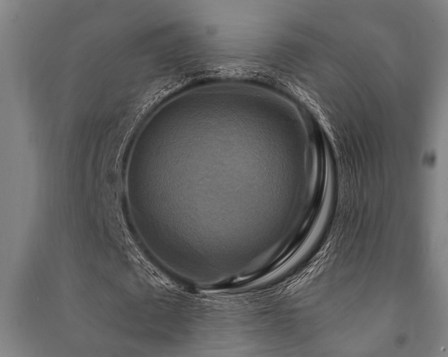 X0000091480673200708161419