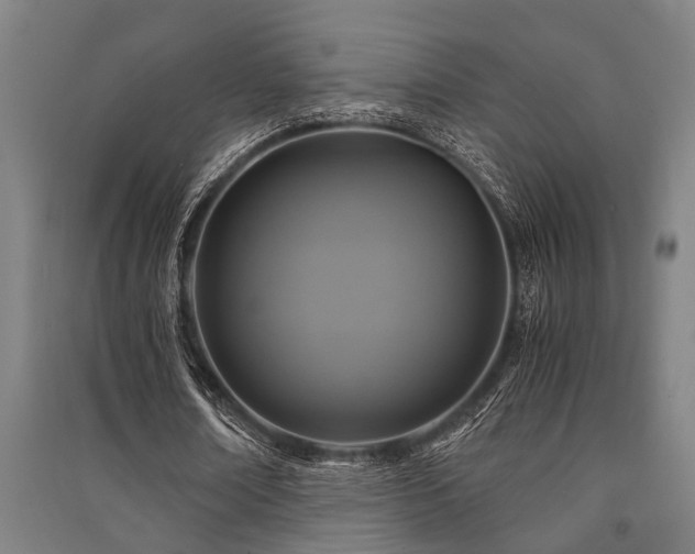 X0000091480674200708161419