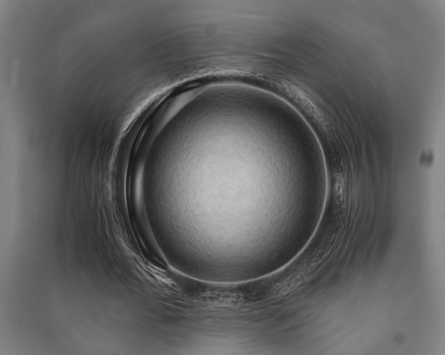 X0000091480676200708161419