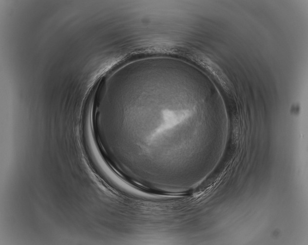 X0000091480677200708161419