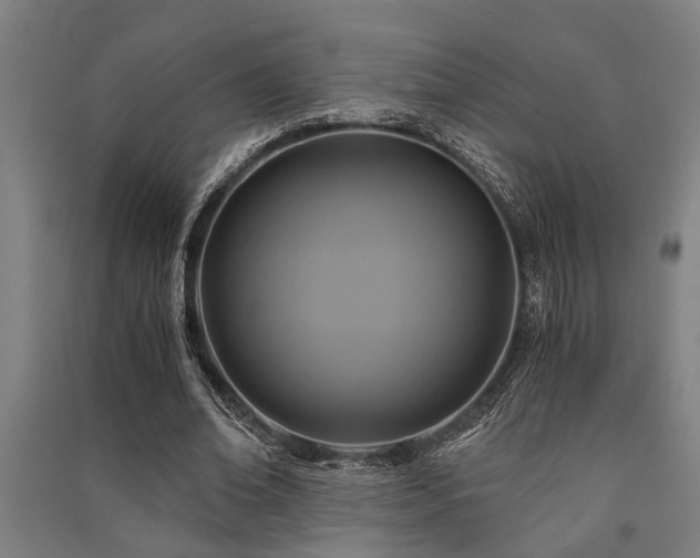 X0000091480678200708161419
