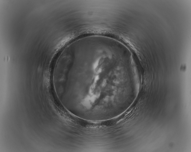 X0000091480679200708161419