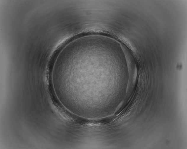 X0000091480680200708161419