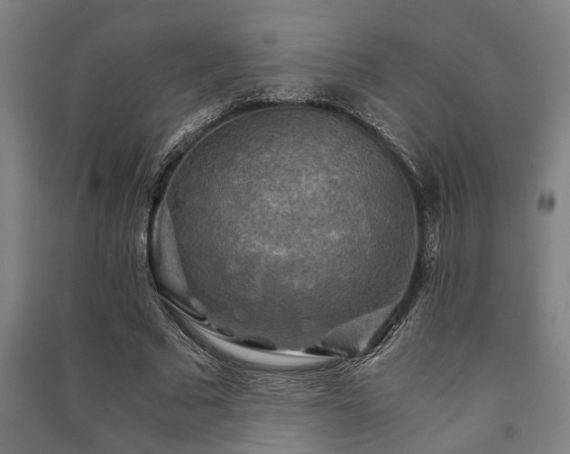 X0000091480681200708161419