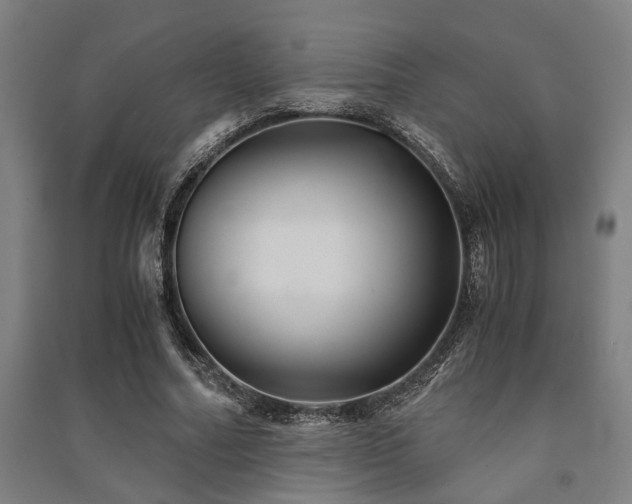 X0000091480682200708161419