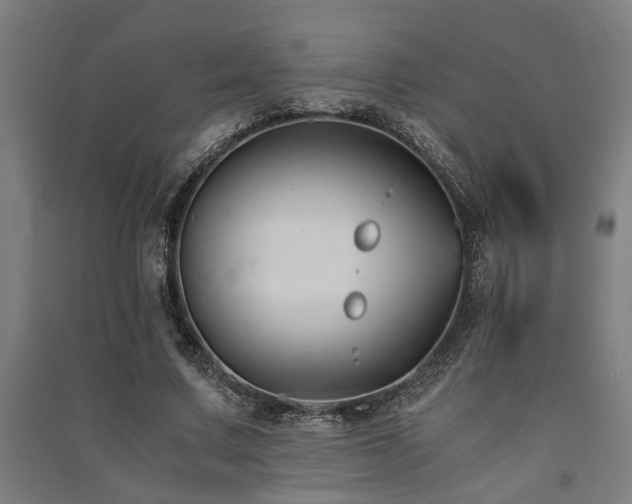 X0000091480683200708161419