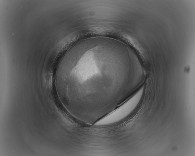 X0000091480685200708161419