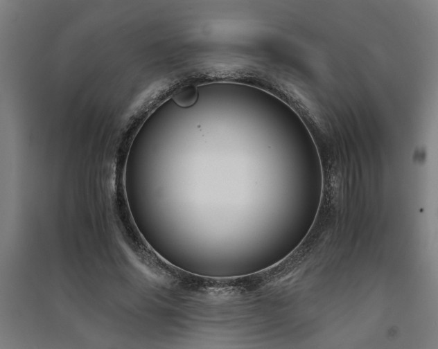X0000091480686200708161419