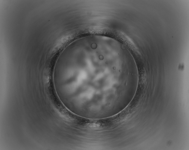 X0000091480687200708161419