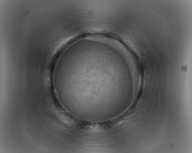 X0000091480688200708161419