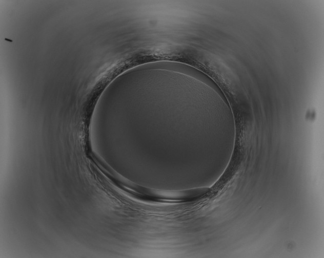 X0000091480689200708161419