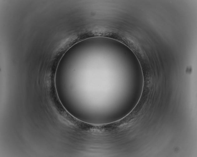 X0000091480690200708161419