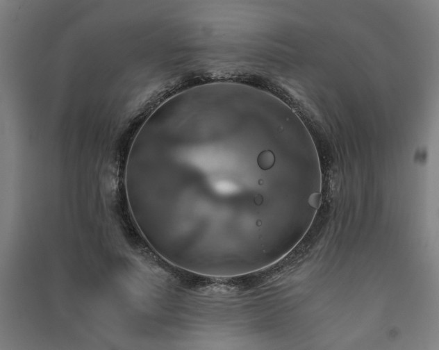 X0000091480691200708161419