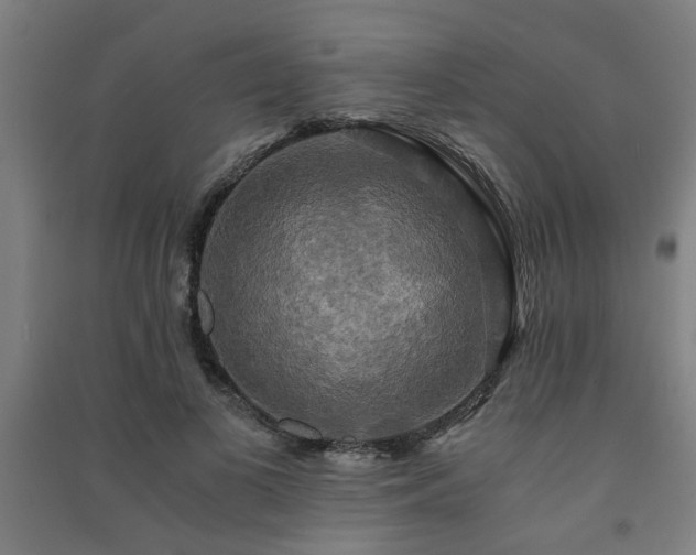 X0000091480693200708161419