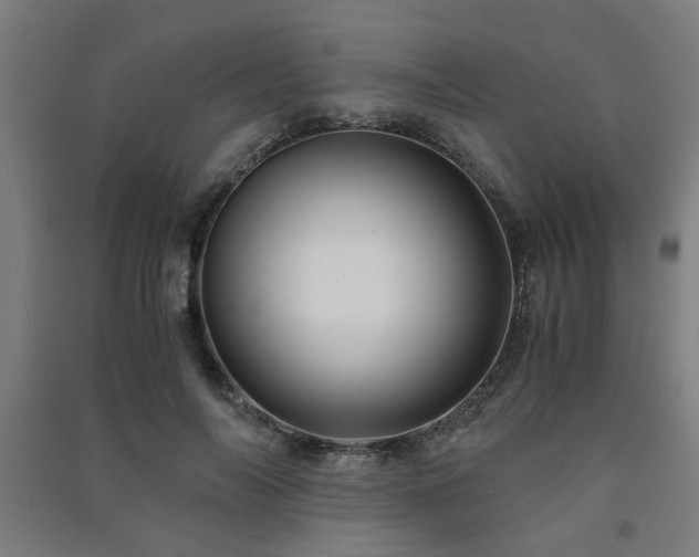 X0000091480694200708161419