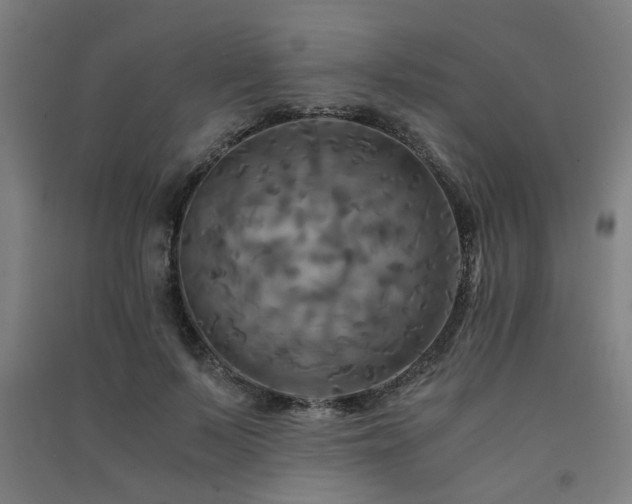 X0000091480695200708161419