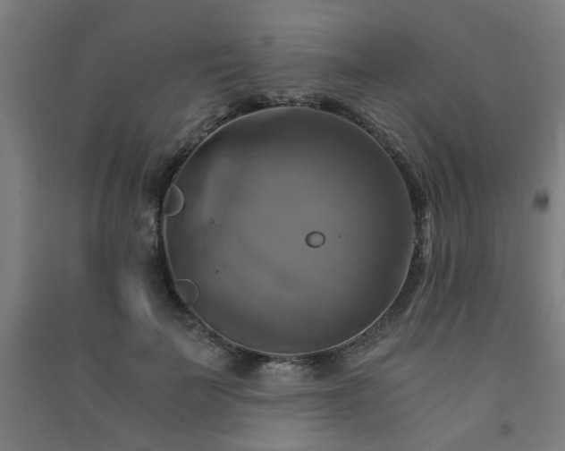 X0000091480699200708161419