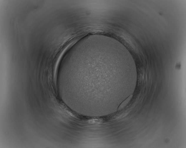 X0000091480700200708161419