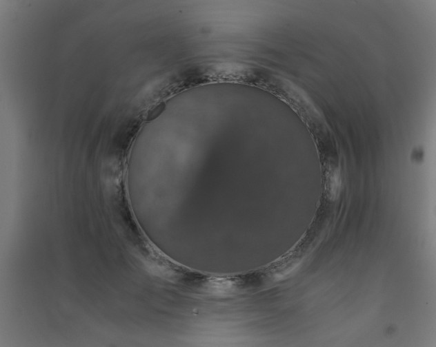 X0000091480701200708161419