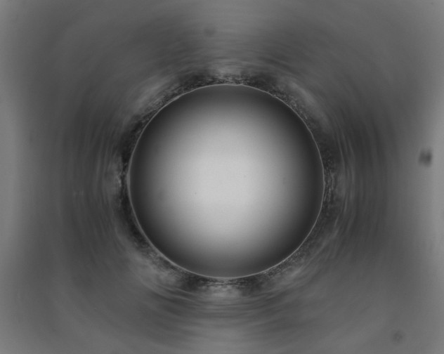 X0000091480702200708161419