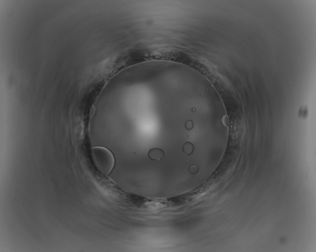 X0000091480703200708161419