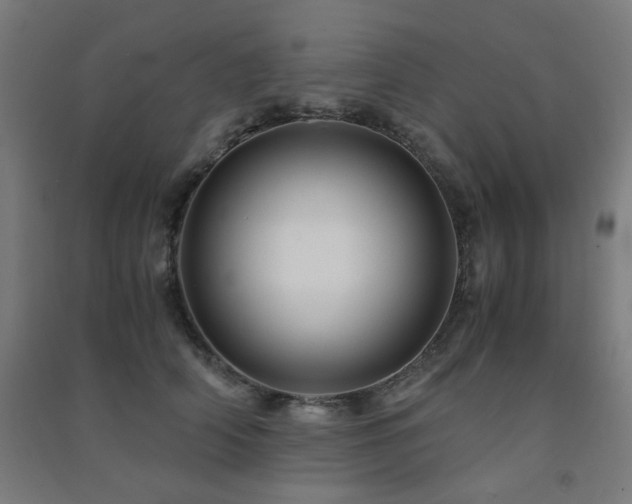 X0000091480706200708161418