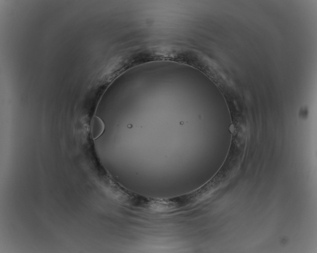 X0000091480707200708161418