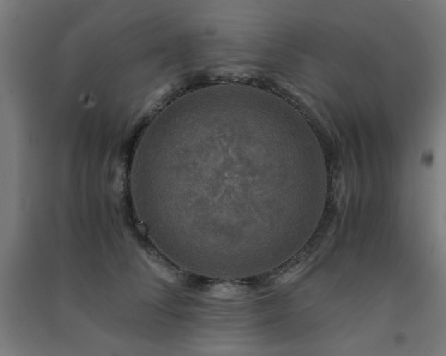 X0000091480708200708161418