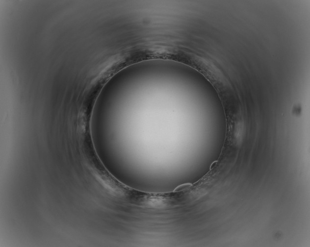X0000091480710200708161418