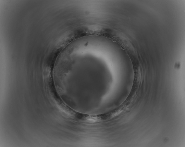 X0000091480711200708161418
