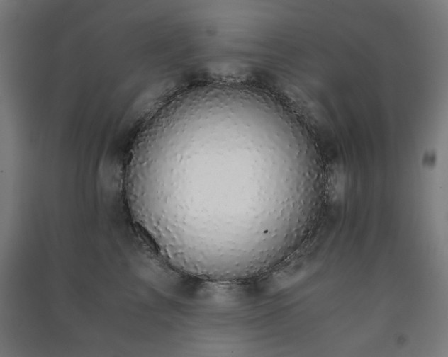 X0000091480713200708161418
