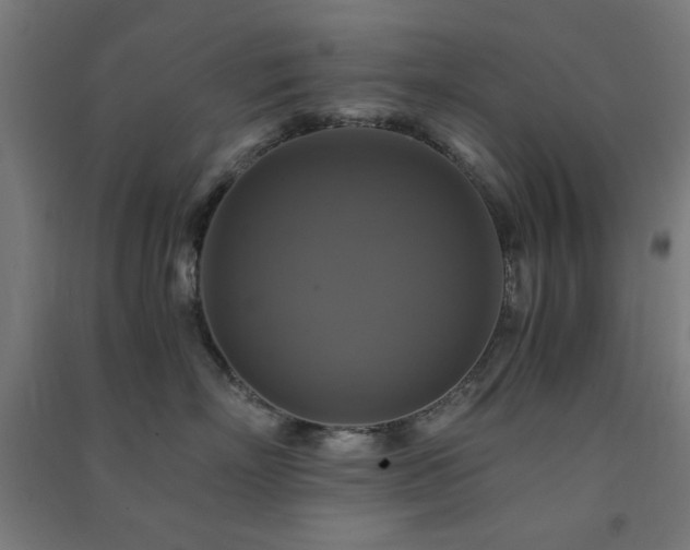 X0000091480718200708161418