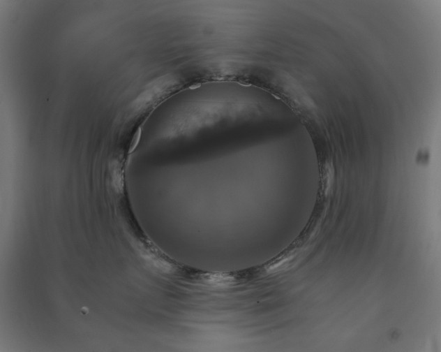 X0000091480719200708161418