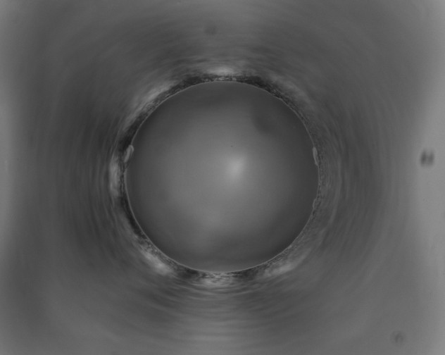 X0000091480720200708161418