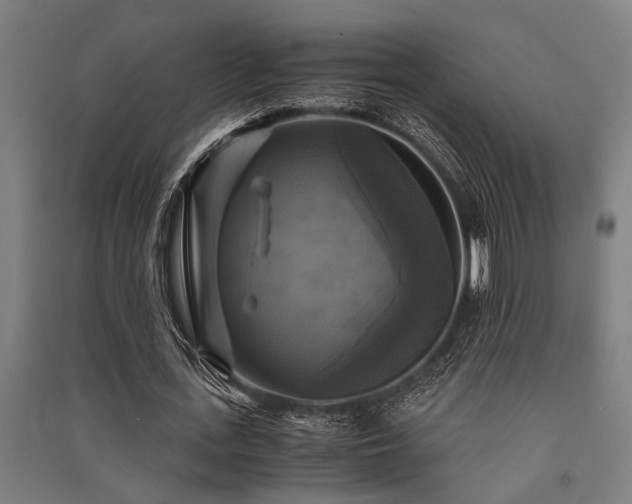 X0000091480723200708161418