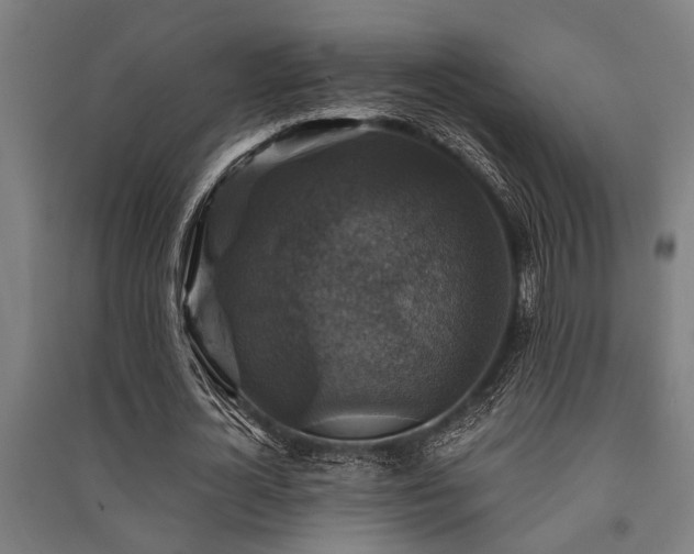 X0000091480724200708161418