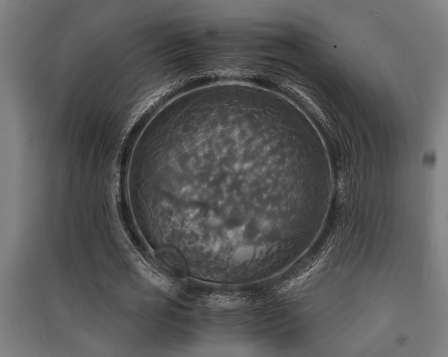 X0000091480725200708161418