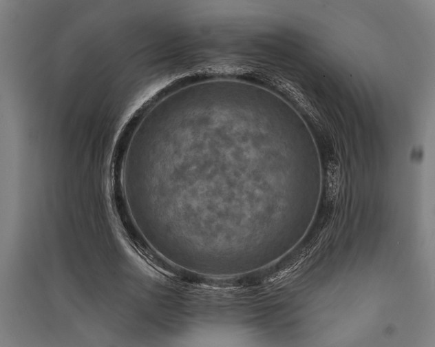 X0000091480726200708161418